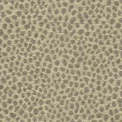 Kravet Design Grey 32585-11 Indoor Upholstery Fabric
