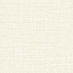 Kravet Ooh La La White 31196-1 Indoor Upholstery Fabric