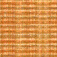 Kravet Contract Delancy Candy Corn 34112-412 Crypton Incase Collection Indoor Upholstery Fabric