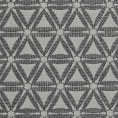 Clarke and Clarke Charcoal F1053-01 Delta Collection Drapery Fabric