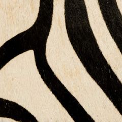Kravet Painted Zebra Natural L-Coveted 81 Indoor Upholstery Fabric