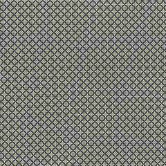 F Schumacher Serendipity Black and Taupe 176421 Clique Collection Indoor Upholstery Fabric