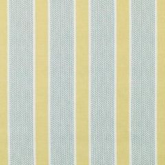 Duralee Eze-Lemon by Tilton Fenwick 21087-269 Decor Fabric
