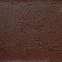 Kravet Design Brown Delaney 66 Indoor Upholstery Fabric