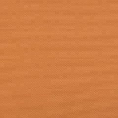 Kravet Contract Iron Man Tiger 12 Faux Leather Extreme Performance Collection Upholstery Fabric