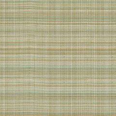 Kravet Cast Off Seaspray 34863-516 Oceania Indoor Outdoor Collection Upholstery Fabric