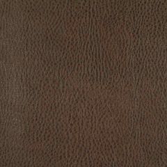 Robert Allen Contract Dagett Portobello 216636 Faux Leather Textures Collection Indoor Upholstery Fabric