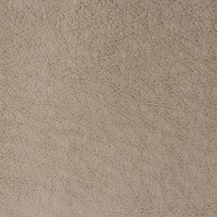 Kravet Contract Rebel Seal 106 Sta-Kleen Collection Indoor Upholstery Fabric