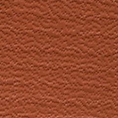 Weblon Coastline Plus Rust CP-2709 Awning Fabric