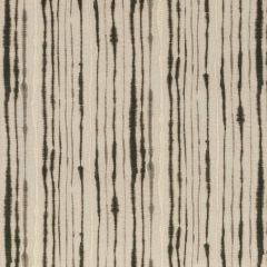 Threads Linear Charcoal ED75038-2 Nala Prints Collection Multipurpose Fabric