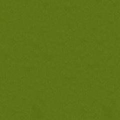 Kravet Design Velvets Green 34205-3 Indoor Upholstery Fabric