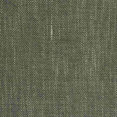 Gaston Y Daniela Enea Verde GDT5518-7 Gaston Libreria Collection Indoor Upholstery Fabric