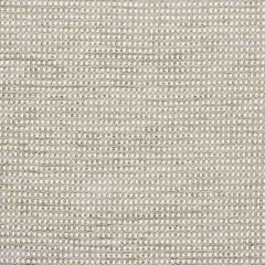 F Schumacher Toscana Grey 73500 Luxury Chenille Collection Indoor Upholstery Fabric