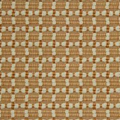 Robert Allen Braided Rows-Sunrise 227127 Decor Upholstery Fabric