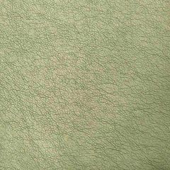 Kravet Contract Maximo Peridot 30 Indoor Upholstery Fabric