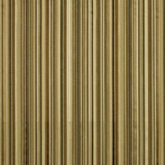 Robert Allen Berra Stripe Chestnut 215055 Drapery Fabric