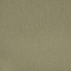 Robert Allen Jay Peak Chestnut 509391 Epicurean Collection Multipurpose Fabric