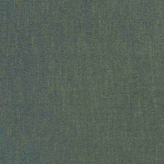 Robert Allen Gleam Dream Blue Pine 255532 Enchanting Color Collection Indoor Upholstery Fabric