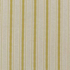 Threads Rattan Stripe Citrus ED85282-748 Meridian Collection Drapery Fabric