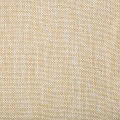 Kravet Smart 34939-1601 Indoor Upholstery Fabric