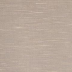 Robert Allen Soft Velvet Cloud 219816 Velvet Luxe Collection Indoor Upholstery Fabric