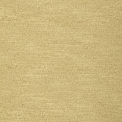 Robert Allen Naruto-Honey 243360 Decor Multi-Purpose Fabric