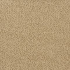 Kravet Matter Beige 1616 Indoor Upholstery Fabric