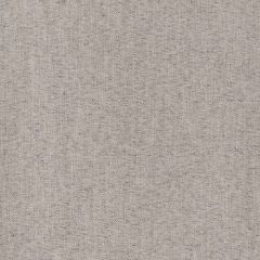 Robert Allen Tinson Weave Greystone Heathered Textures Collection Multipurpose Fabric