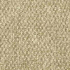 Stout Hennessey Putty 24 Welcome Home Collection Multipurpose Fabric