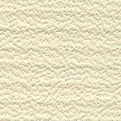 Weblon Coastline Plus Almond CP-2797 Awning Fabric