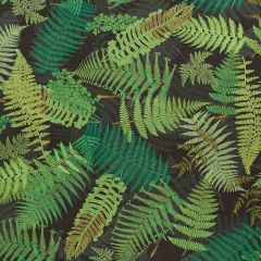 F Schumacher Fernarium Green and Black 177591 by Clements Ribeiro Indoor Upholstery Fabric