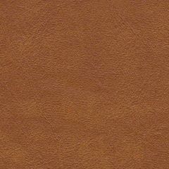 ABBEYSHEA Mariah 84 Rust Marine Upholstery Fabric