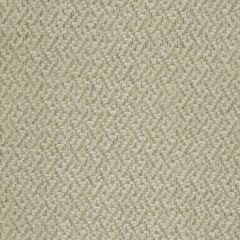 Beacon Hill Lecco Basket-Travertine 238991 Decor Upholstery Fabric