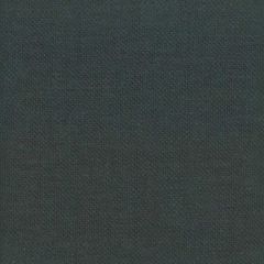 Stout Ticonderoga Regency 51 Linen Hues Collection Multipurpose Fabric