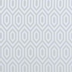 Duralee Silver 32716-248 Decor Fabric