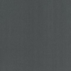 Robert Allen Swagger Greystone Linen Solids Collection Multipurpose Fabric