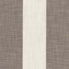 Perennials Vintage Stripe Sable 865-244 Camp Wannagetaway Collection Upholstery Fabric