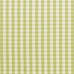 F Schumacher Elton Cotton Check Sage 63056 Indoor Upholstery Fabric