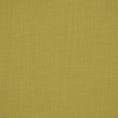 Robert Allen Jaden Celery 193644 Multipurpose Fabric