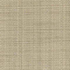 Robert Allen Ultimate Shade Twine 214689 Crypton Transitional Collection Indoor Upholstery Fabric