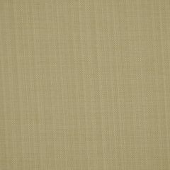 Robert Allen Botkier Vanilla 193856 Multipurpose Fabric