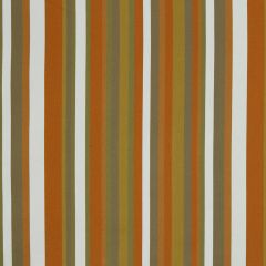 Robert Allen Eos Stripe-Sunrise 226735 Decor Upholstery Fabric