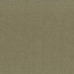 ABBEYSHEA Pace 67 Putty Indoor Upholstery Fabric