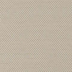 Robert Allen Secret Code Oyster 508731 Epicurean Collection Indoor Upholstery Fabric