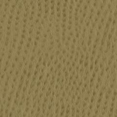 Nassimi Phoenix 105 Rope Faux Leather Upholstery Fabric