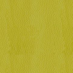 ABBEYSHEA Turner 54 Citron Indoor Upholstery Fabric