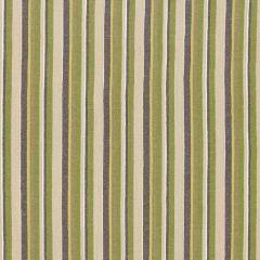 F. Schumacher Kiawah Stripe Vert 66031 Sea Island Stripes Collection