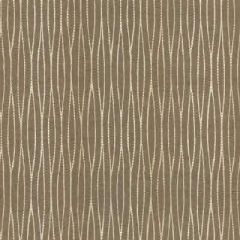 Lee Jofa Modern Waves Ombre Natural GWF-2925-61 by Allegra Hicks Indoor Upholstery Fabric