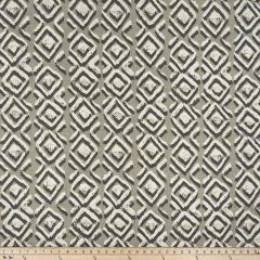 Premier Prints Sapo Basket / Luxe Polyester Exotic Expressions Outdoor Collection Indoor-Outdoor Upholstery Fabric