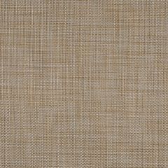 Phifertex Shelburne Taupe XZT 54-inch Cane Wicker Collection Sling Upholstery Fabric
